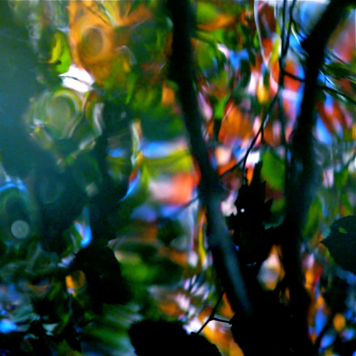 Colours
Cuvinte cheie: toamna