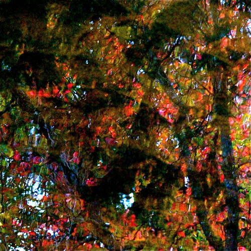 In Colours Major
Cuvinte cheie: toamna