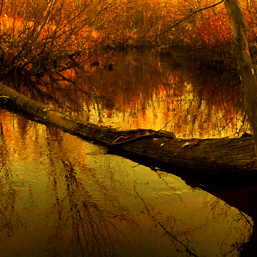 My Wild Arts Bridge
Cuvinte cheie: toamna My Wild Arts Bridge
Cuvinte cheie: toamna