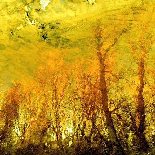 End of the autumn
Cuvinte cheie: toamna