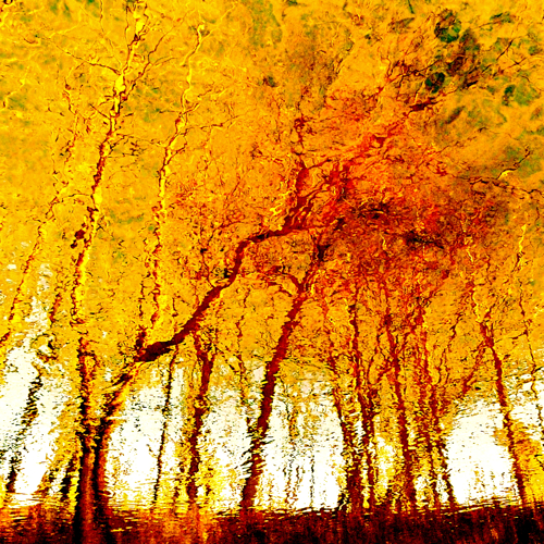 The clearing in my wild river
Cuvinte cheie: toamna The clearing in my wild river
Cuvinte cheie: toamna