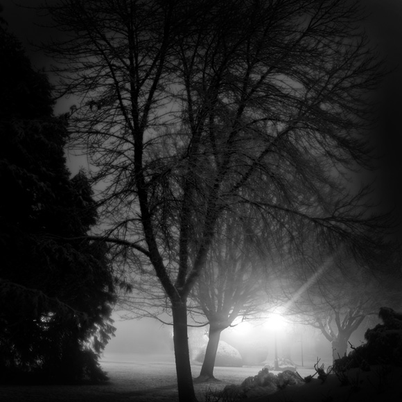Winter 17
Cuvinte cheie: iarna noapte