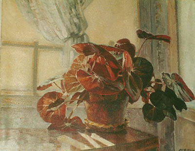 Clorofila
