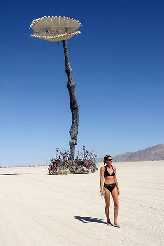 Burning Man 2006
Burning Man 2006