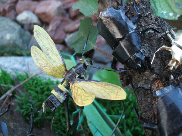 Insecte origami in natura
Cuvinte cheie: insecte japonia Insecte origami in natura
Cuvinte cheie: insecte japonia
