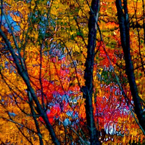 Click pentru imaginea mărită
==============
Autumn Reflections
Cuvinte cheie: toamna Autumn Reflections
Cuvinte cheie: toamna