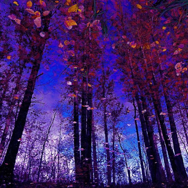 Click pentru imaginea mărită
==============
Autumn Poem
Cuvinte cheie: toamna Autumn Poem
Cuvinte cheie: toamna