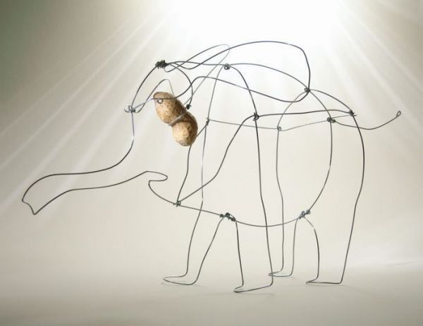 Elefant
Cuvinte cheie: elefant