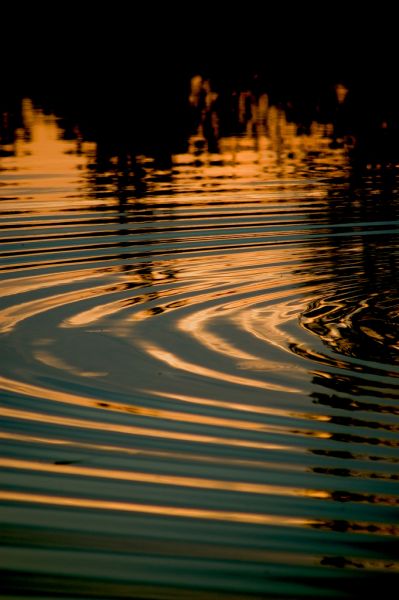 Ripples
Cuvinte cheie: apus