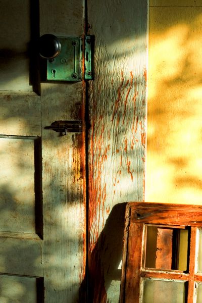 Ghosts in the Light
