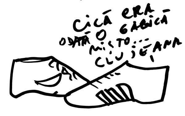 Clujeana
