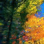 1526103241_bae2cf8d7b_o.jpg