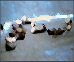 2243996-canvas.jpg