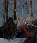 Forest01_OKres.jpg