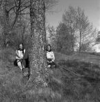 mar077.jpg
