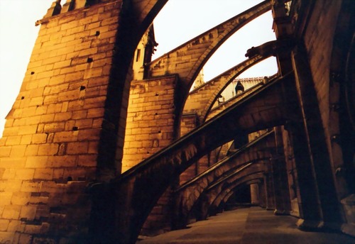 Notre Dame de Paris, arcuri butante
Cuvinte cheie: arhitectura gotica arc butant