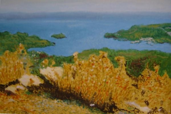 Ciulini in Rodhos
