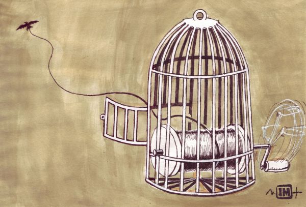 Libertate
Cuvinte cheie: independenta plasa