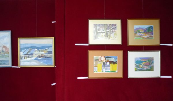 Imagine din expozitie
