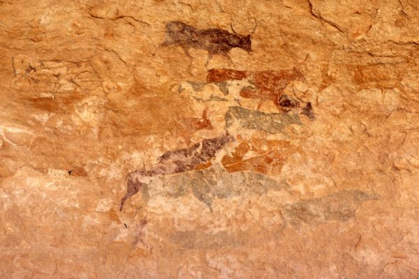 Pictura rupestra la Tassili n'Ajjer
