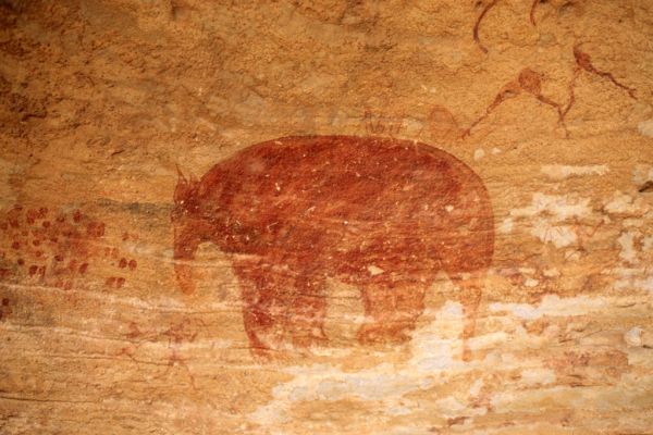 Click pentru imaginea mărită
==============
Pictura rupestra la Tassili n'Ajjer
Pictura rupestra la Tassili n'Ajjer