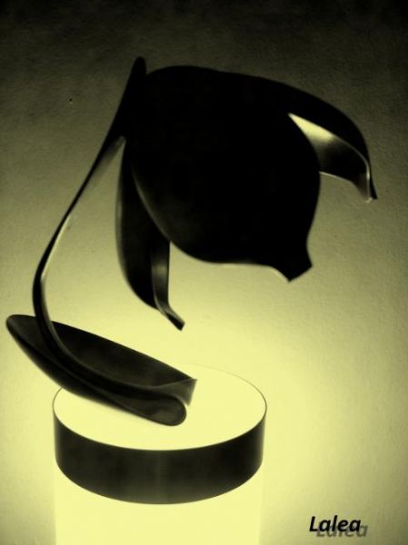 Lalea
Floare cu petalele deschise, realizata din argint
Cuvinte cheie: ambientala moderna abstracta suprematism floare lalea