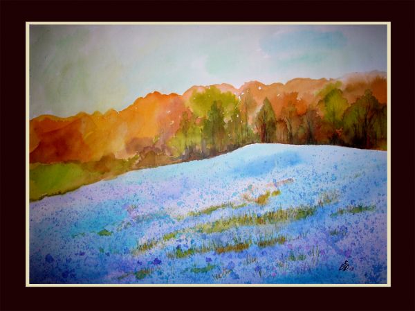 Blue Field 1
Cuvinte cheie: peisaj camp
