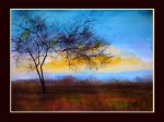 YellowSunset2.jpg