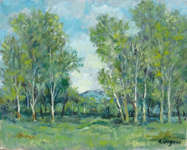 Luminis
Lucrare realizata in anul 2011
Cuvinte cheie: peisaj pomi frunzis padure
