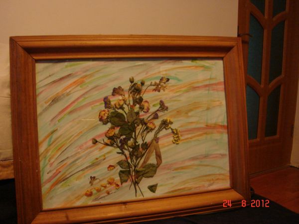 Vaza cu flori
Tablou realizat pe baza de colaj (plante)
