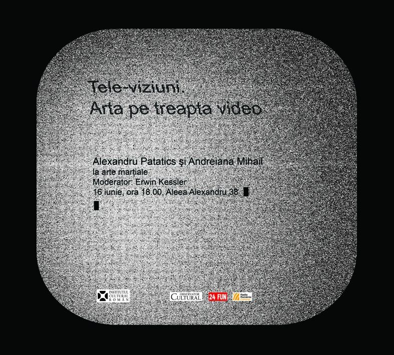 Tele-viziuni. Arta pe treapta video