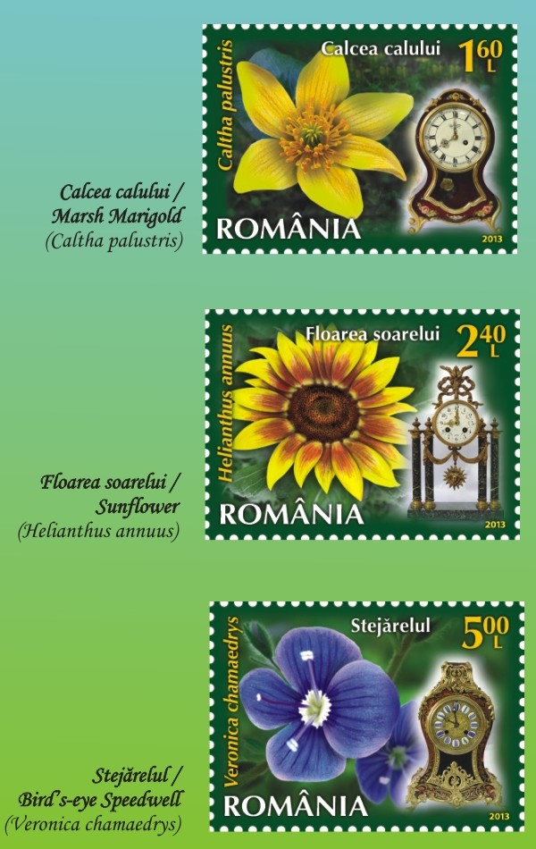 ceasul-florilor-2.jpg